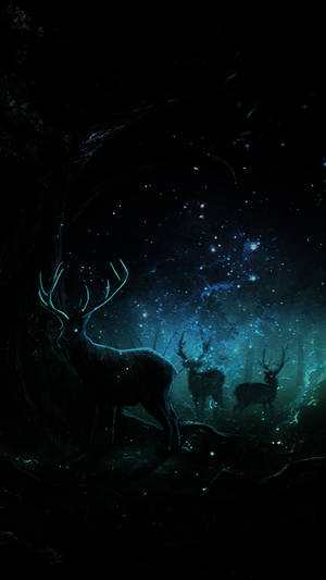 Image An Iphone In Nature: Deer Enjoying The Beautiful Outdoors Wallpaper