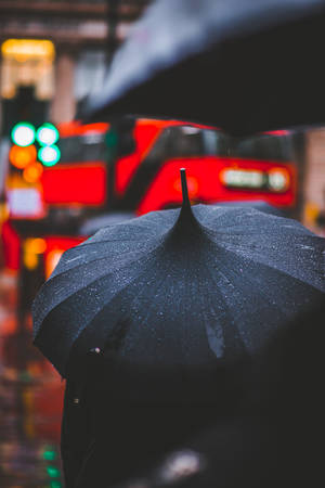 Image An Umbrella Shields Against The Wet Rain. Wallpaper