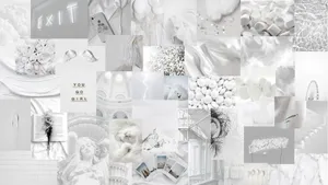 Image Collage In Cute White Aesthetic Wallpaper