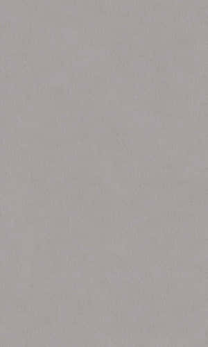 Image Cool Beach Vibe In Grey Wallpaper