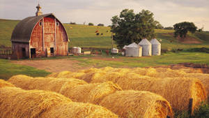 Image Enjoying The Peaceful Life On The Farm Wallpaper