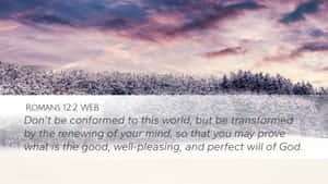 Image Find Balance In Life Wallpaper