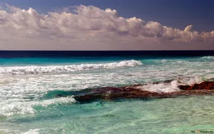 Image The Beauty Of The Ocean Shines Bright Wallpaper