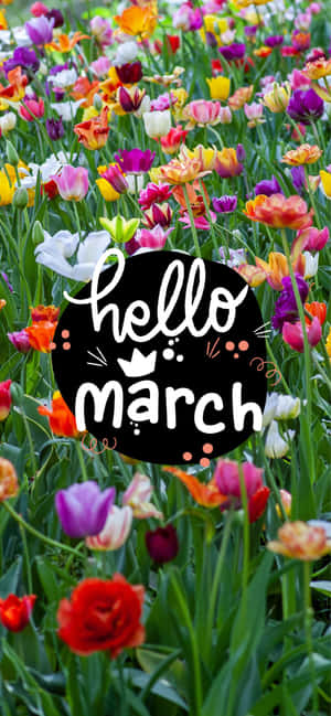 Image “welcome To March!” Wallpaper