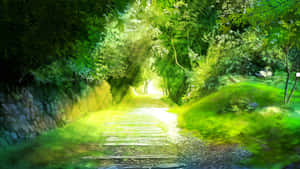 In The Middle Of A Surreal Anime Forest Wallpaper