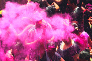 India Holi Purple Gulal Dye Wallpaper