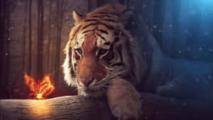 Indian Tiger And A Butterfly Wallpaper