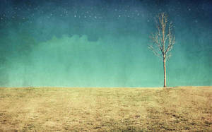 Indie Aesthetic Laptop Dead Tree On Field Wallpaper