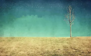 Indie Flower [wallpaper] Wallpaper