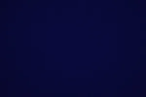 Indigo Dark Blue Plain Wallpaper