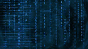 Information Technology Digital Binary Data Wallpaper