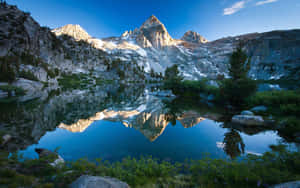 Inhale Nature, Exhale Stress Wallpaper