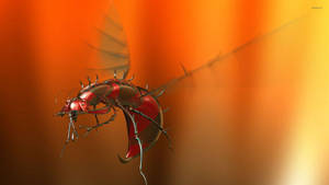 Insect With Sharp Spikes Wallpaper