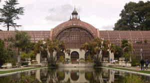 Inside The Botanical Building In Balboa Park Wallpaper