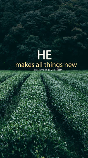 Inspirational Christian Quote Tea Plantation Wallpaper