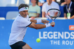 Intense Focus: David Ferrer Eyes On The Ball Wallpaper