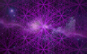 Intricate Display Of Sacred Geometry Patterns Wallpaper