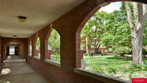 Iowa State University Brick Corridor Wallpaper