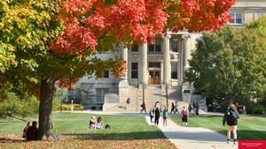 Iowa State University Light Crowd Wallpaper