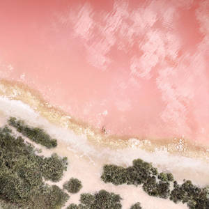 Ipad Pro Beach With Pink Sea Wallpaper