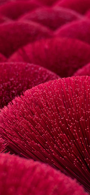 Iphone 11 Pro Red Springy Balls Wallpaper