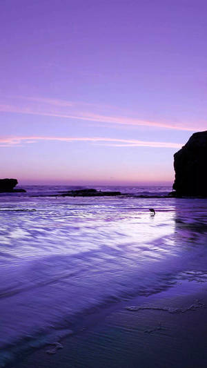 Iphone 11 Purple Beach Hd Wallpaper