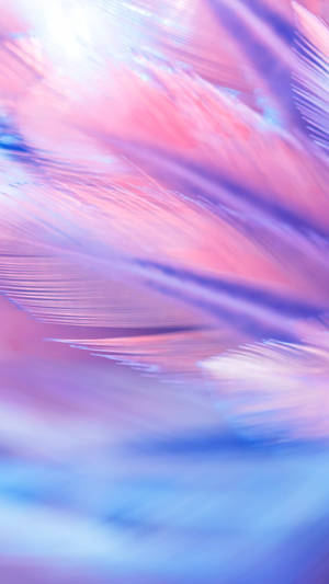 Iphone 11 Purple Feathers Wallpaper