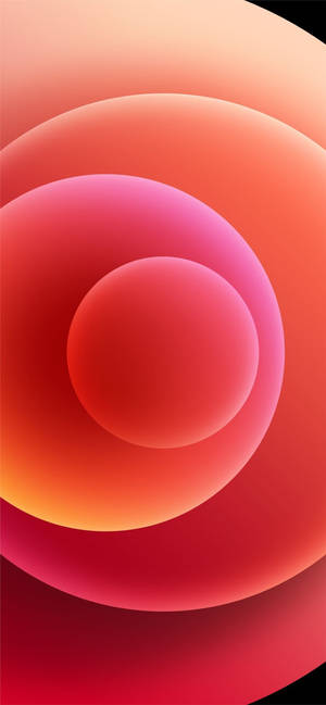 Iphone 12 Stock Peach Color Circles Wallpaper