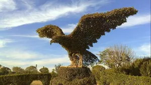 Iraq Topiary Eagle Minare Park Wallpaper