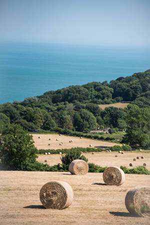 Isle Of Wight England Wallpaper