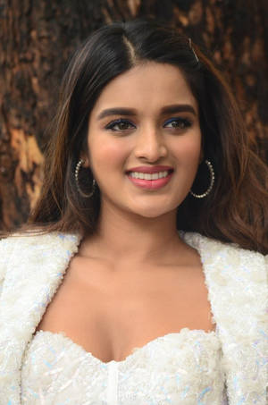 Ismart Shankar Success Meet Nidhi Agarwal Wallpaper