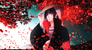 Itachi Uchiha Autumn Akatsuki Aesthetic Wallpaper