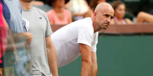 Ivan Ljubicic Court Side View Wallpaper