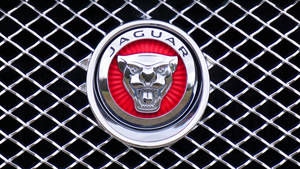Jaguar Car Head Symbol Logo Wallpaper