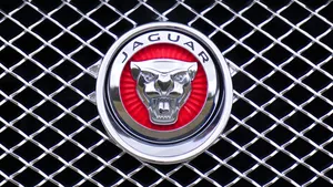 Jaguar Car Head Symbol Logo Wallpaper