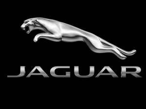 Jaguar Car Logo White Background Wallpaper