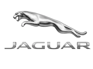 Jaguar Car Logo White Background Wallpaper