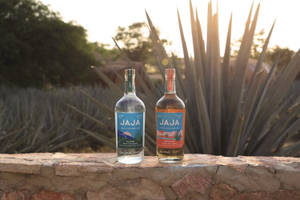 Jaja Tequilla On Agave Field Wallpaper