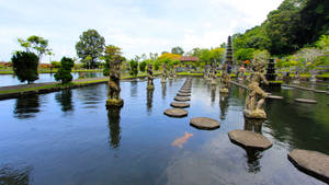 Jakarta Koi Pond Wallpaper