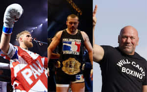 Jake Paul Tim Sylvia Dana White Wallpaper