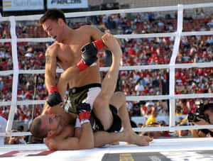 Jake Shields And Ido Pariente Wallpaper