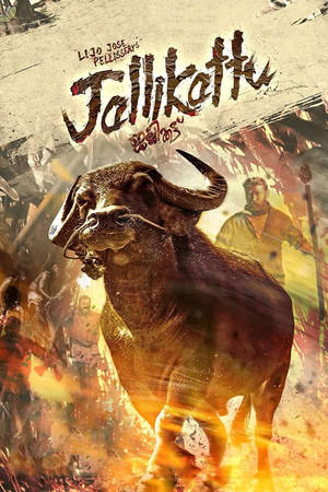 Jallikattu English Poster Wallpaper