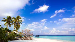 Jamaica Island Caribbean Wallpaper