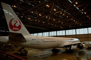 Japan Airlines Aircraft Hangar Wallpaper