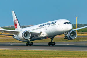 Japan Airlines Preparing Taxiway Wallpaper