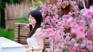 Japan Girl Playing Piano Pink Garden Flowers Wallpaper