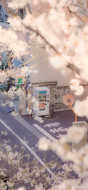 Japanese Aesthetic Iphone Vending Machine And Sakura Flowers Wallpaper