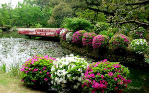Japanese Style Flower Garden With Pond Wallpaper