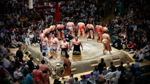 Japanese Sumo Wrestling Arena Wallpaper