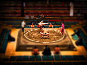 Japanese Sumo Wrestling Wallpaper